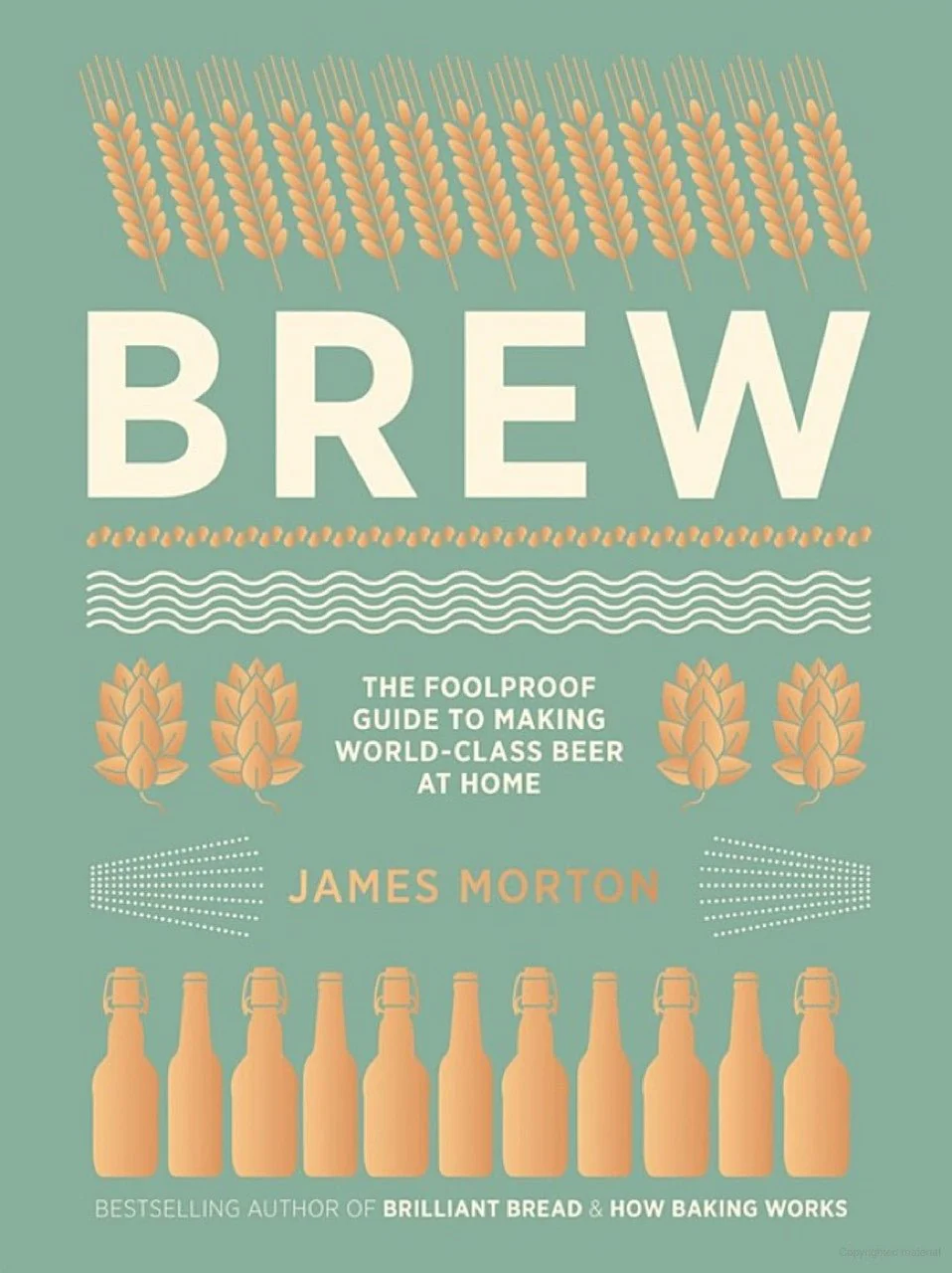 Brew: The Foolproof Guide to Making Your Own Beer at Home | James Morton