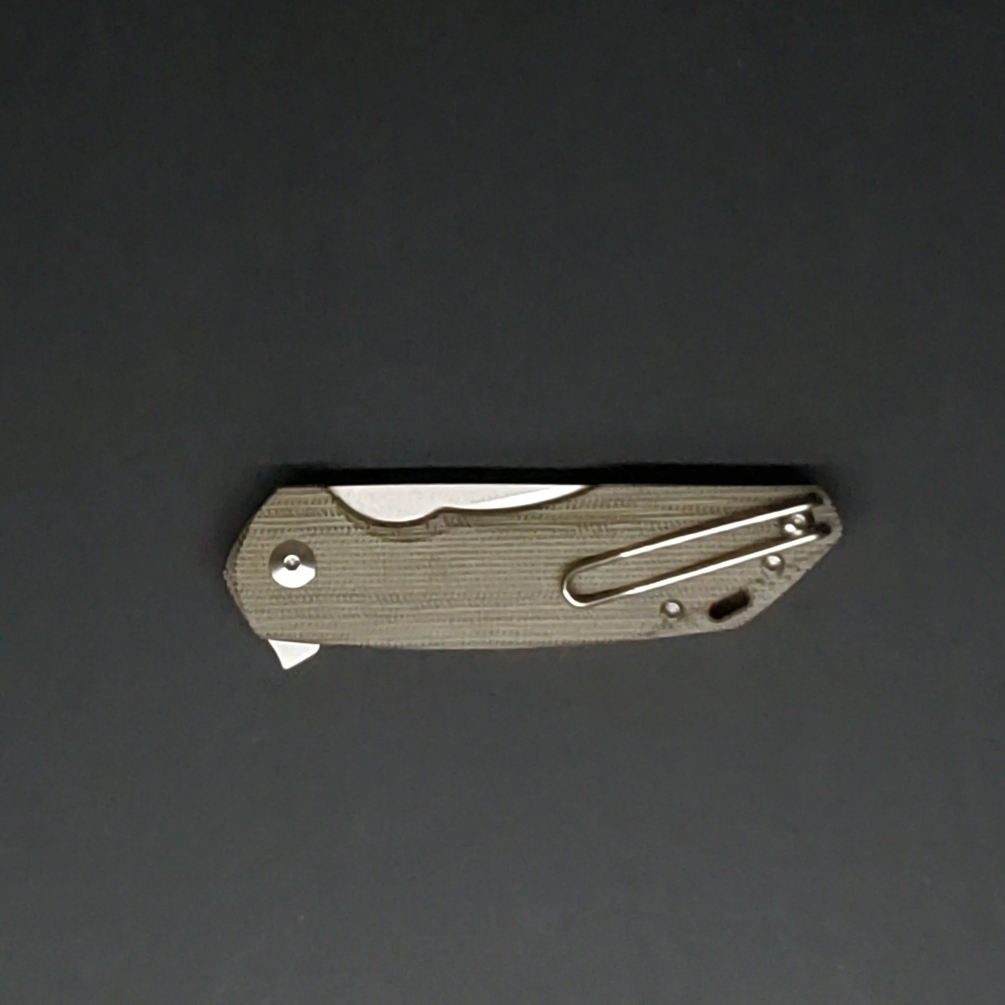 GiantMouse | ACE Corta | Green Canvas - Image 3