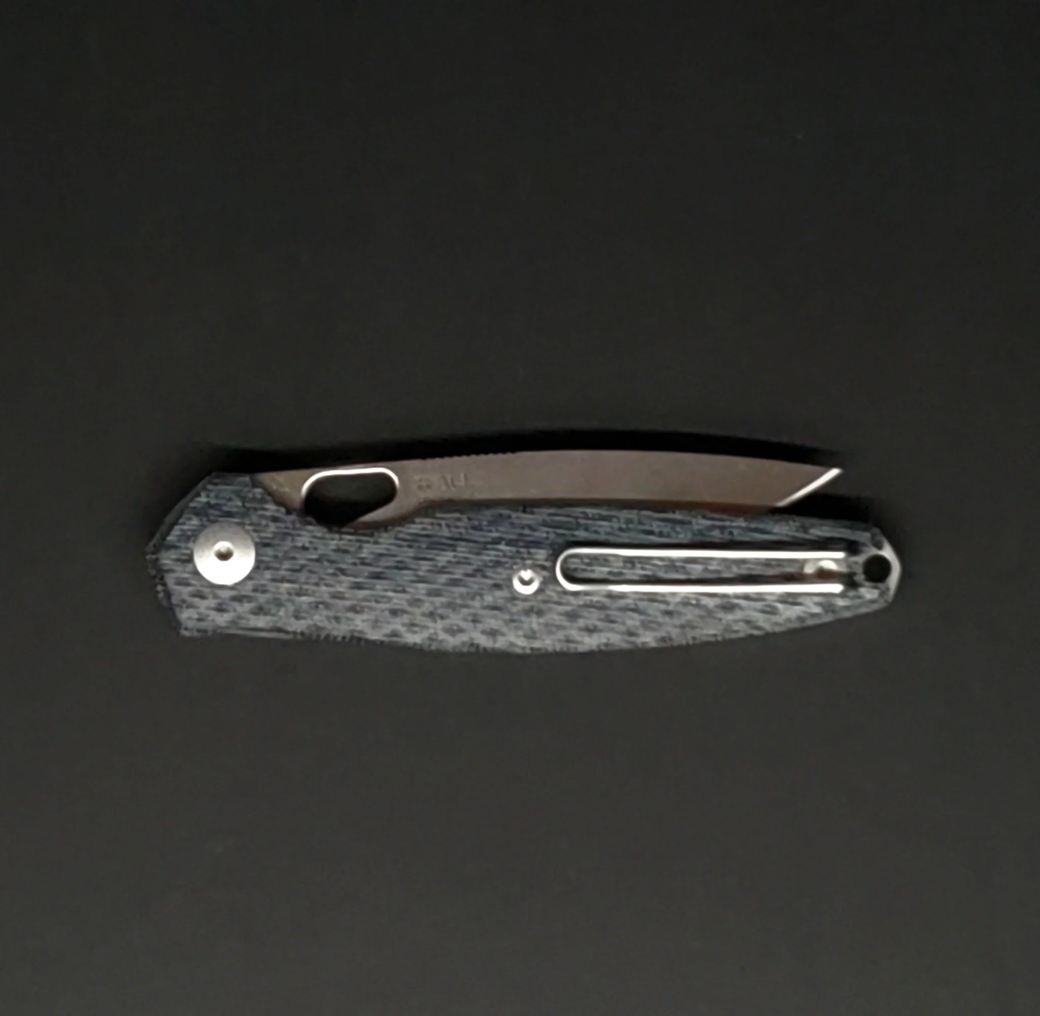 GiantMouse | ACE REO | Denim Canvas - Image 3